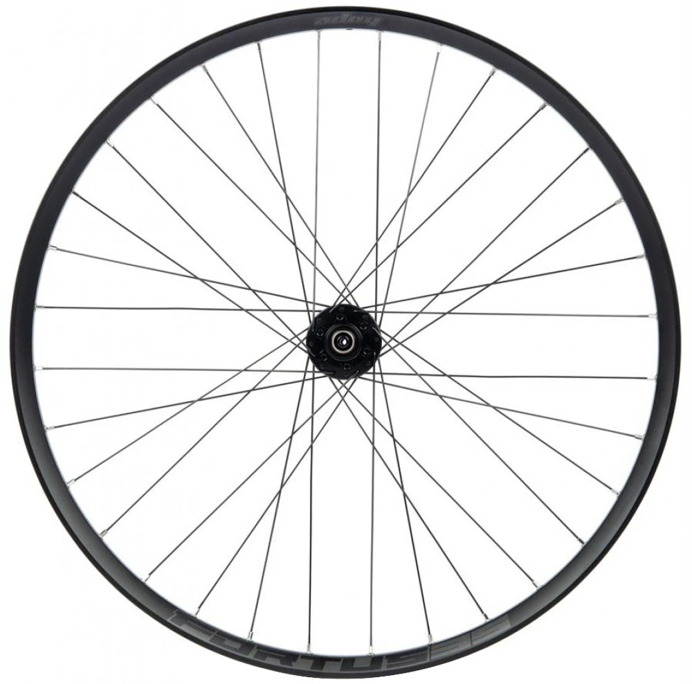 HOPE Fortus 35 Pro 4 Disc 6-Loch 29" MicroSpline Boost Hinterrad 2 HOPE Fortus 35 Pro 4 Disc 6-Loch 29" MicroSpline Boost Hinterrad – Bild 2